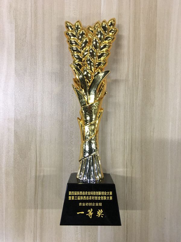 36888f8c8b754c779079aa291054fd94.jpg 奖杯_副本_副本.jpg