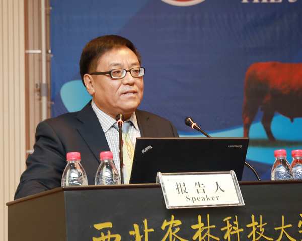 b1040fc1bb2e4db1ae542574851af6e2.jpg 20191125142908258384.jpg