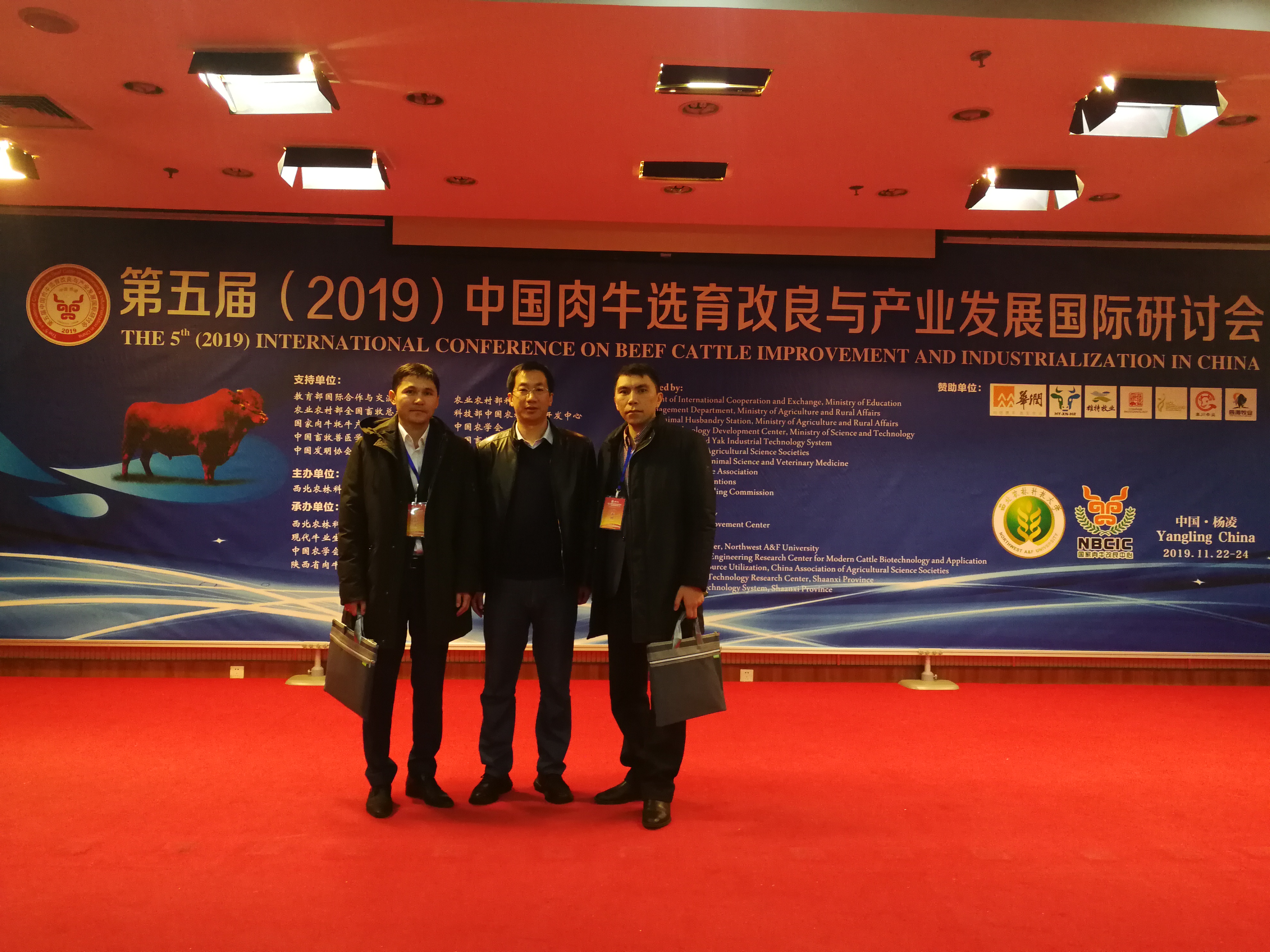 6749216045314ac0bc744ebf1cc7165f.jpg 6749216045314ac0bc744ebf1cc7165f.jpg