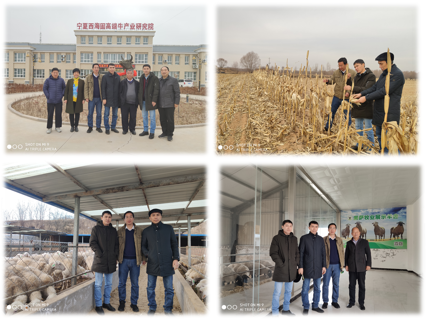 94993ebad327473b9dc3a37b73724bb6.png 94993ebad327473b9dc3a37b73724bb6.png