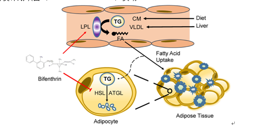 c6c1f2ba9bef47f5aa5627dd9719ffff.png QQ图片20191224175323.png