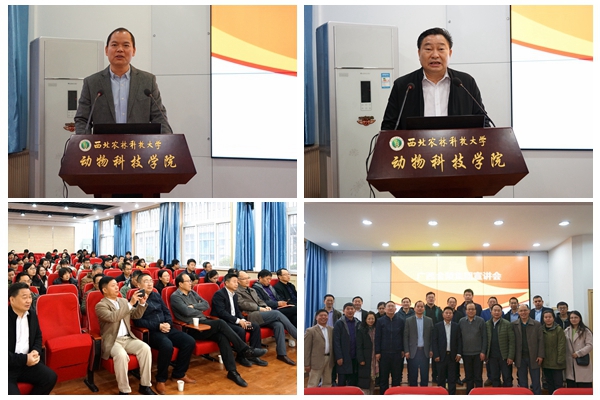 44e598ee47044ee9bb47234972fca913.jpg NeoImage_副本.jpg