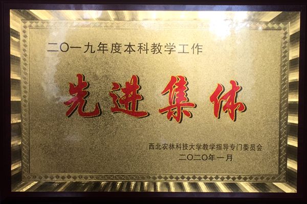 84e566ae89f040108fd1373bc3dbe121.jpg IMG_3456.JPG