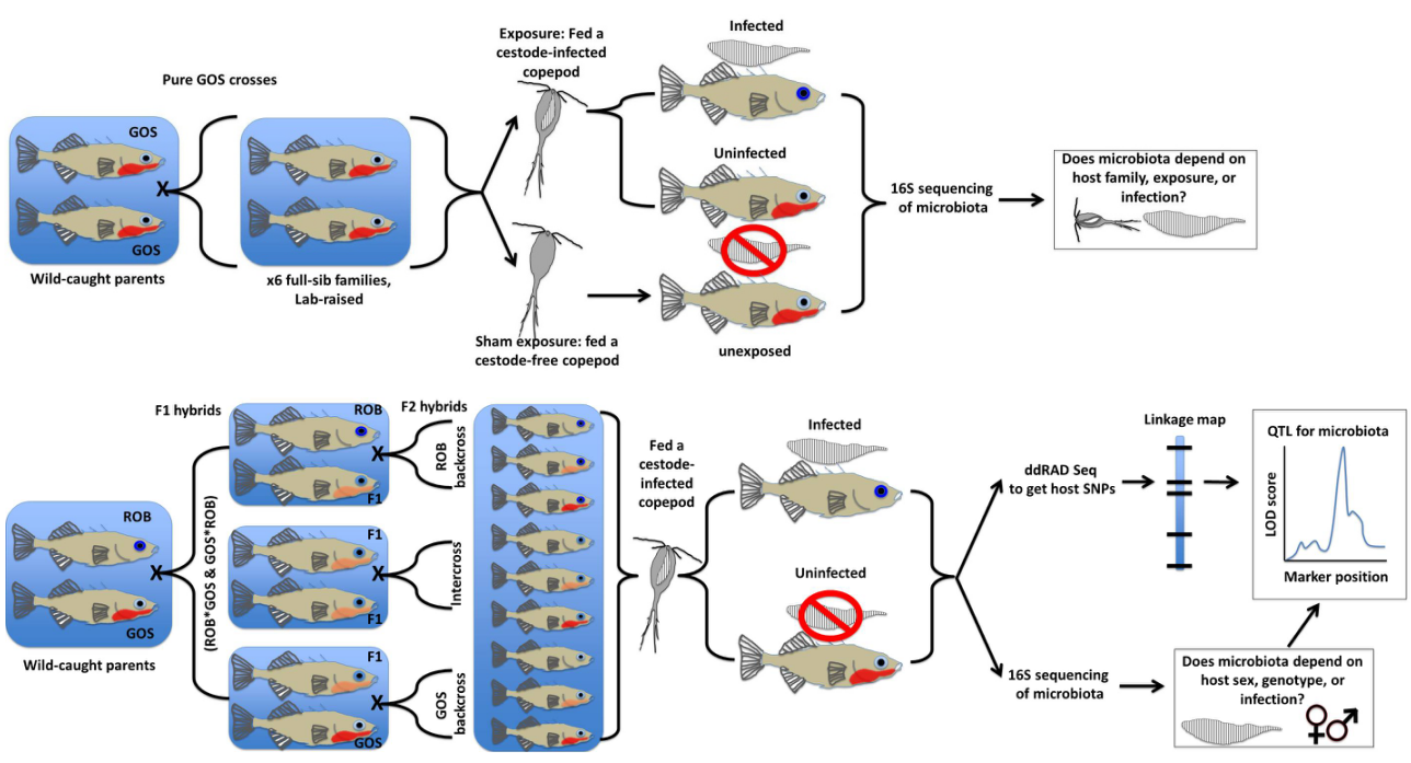 10b93fb6ef97493fbeadb9dabe1e8ed1.png 10b93fb6ef97493fbeadb9dabe1e8ed1.png