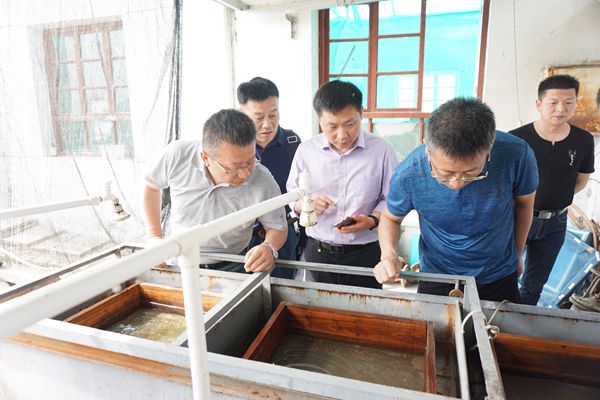 4498389245fa4fb699fcf5a602662fd7.jpg 了解多鳞白甲鱼繁育工作_副本.jpg