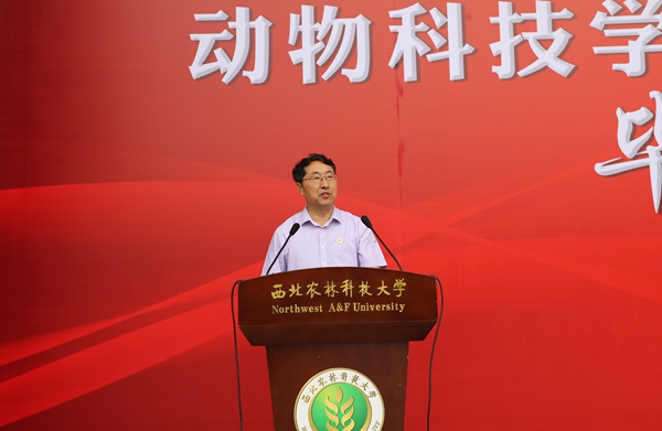 b2f7e9ab687e42eebb797624da63db19.jpg IMG_5290.JPG