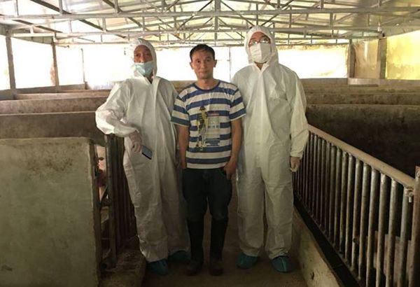 93ea5262a80b4ea4b3cb830c8ecfcc4a.jpg 猪场技术指导.jpg