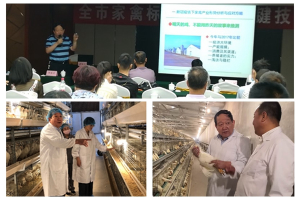 a86a94cf603d4b88898d7c4bf30ed539.jpg NeoImage_副本.jpg