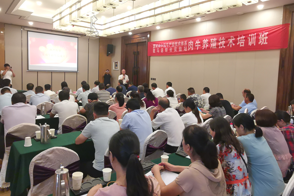 22858fda2533428b97f6287274f4f0a2.png 技术培训.png