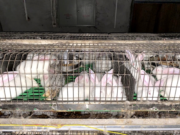 3b0b8fda12a04a3299a0a21177b012c9.jpg 图片5_副本.jpg