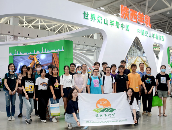 4a58a994dd3b465fb52f1a0fe84f78dc.png 图片12.png