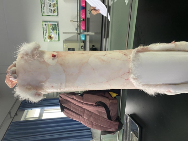 6ec77101129445f4909fca0a68baccb0.jpg 图片6_副本.jpg