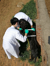 7094bfd687a948f2a293b36424a705f9.png 图片4.png