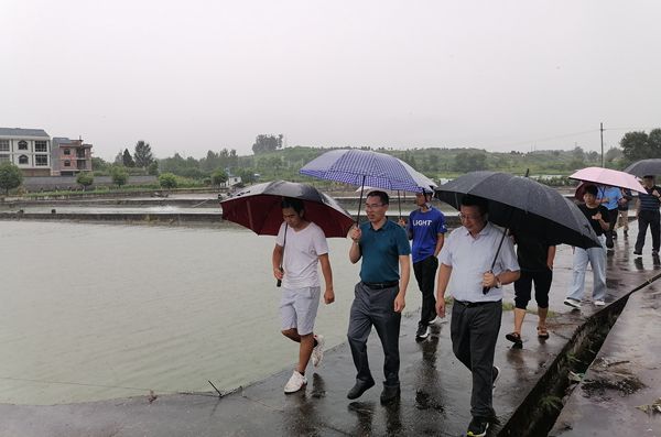 77f0a1ee304b46d7b27a35834b7ad351.jpg 试验站参观_副本.jpg