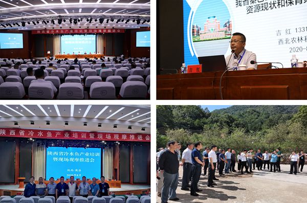 82490ef118814b44a3b1666785fb3a95.jpg 未标题-1_副本.jpg