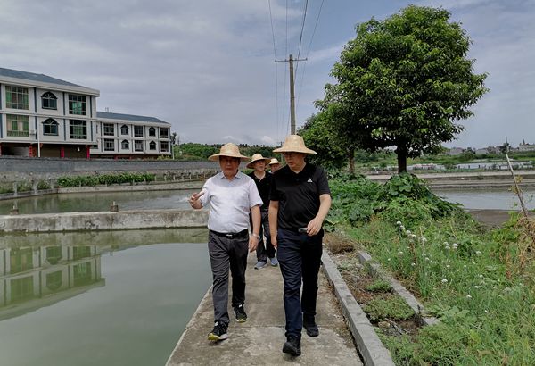 8b0ca0d4b1014fdfbcb26b613c6b7728.jpg 考察示范池塘_副本.jpg