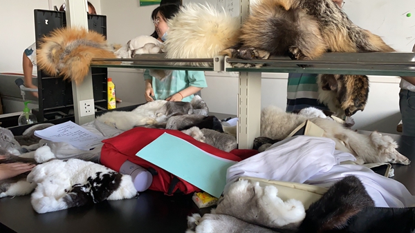 ac6cf15b0b9c4e4a9dc27a69ee67d394.jpg 图片2_副本.jpg