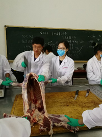 c6ce6884cf944d03803fd3fb32cb4a80.png 图片11.png