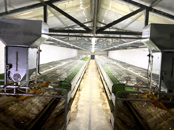 f975c58b95b74cc5a5fde793ded7edaa.jpg 图片4_副本.jpg