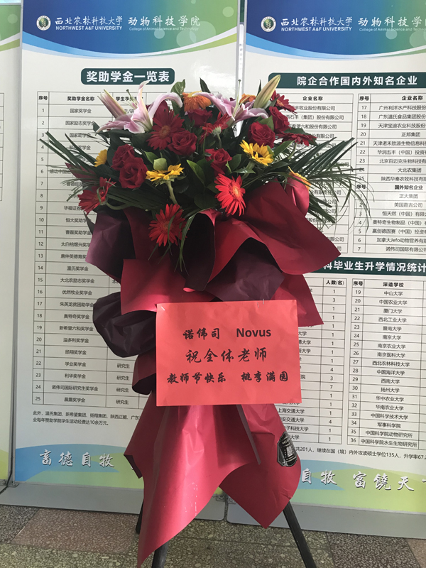 abe8b04e32a64880bd4d216bee5b5a55.jpg 1.jpg