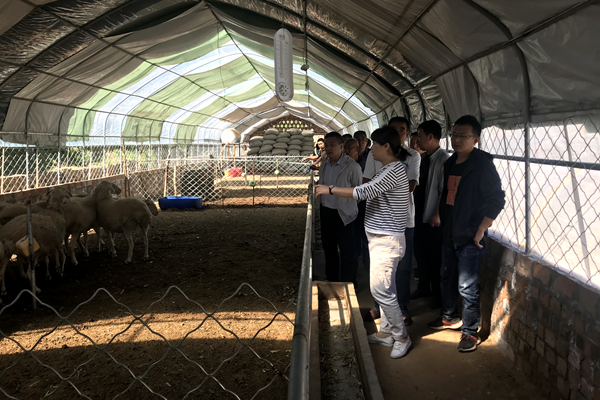 dfb33bf4c28c44af9bdc8989d845f261.png QQ图片20200915113620.png