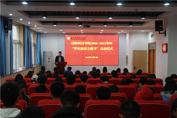 2481c4f4f9144149b6cc761dab3755c4.jpg IMG_5124.jpg