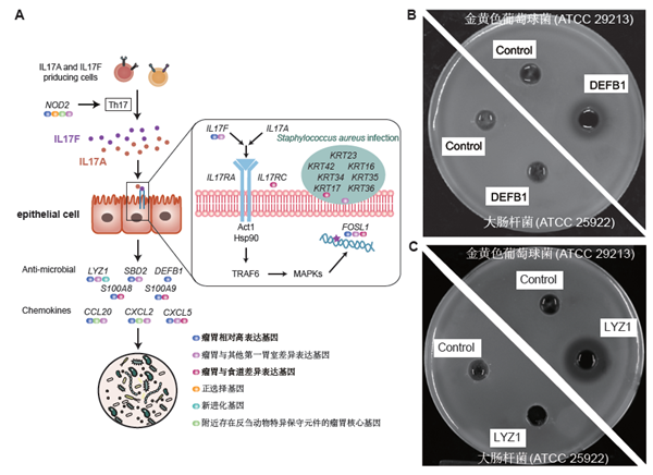 32e5e03615ab4ed88e6e4ad73872bdf3.png 3_副本.png