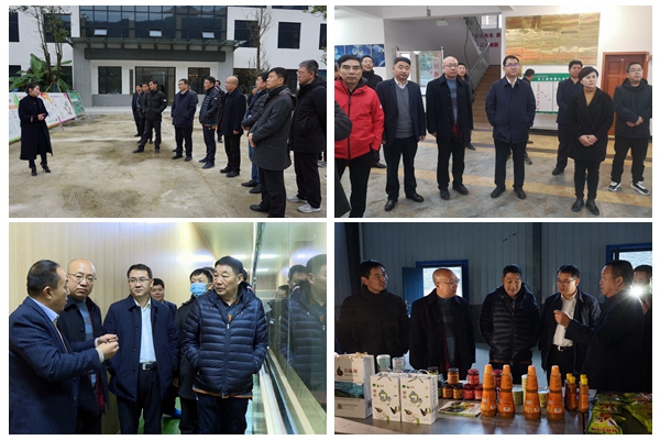 624390434db04f8f8243c4dbdab7b709.jpg NeoImage_副本.jpg