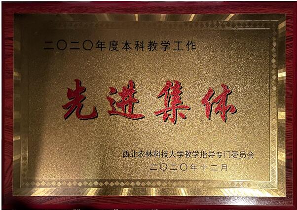 6f1a78bbdc824491ac4c989fc9ae8bd4.jpg QQ截图20201231100900.jpg