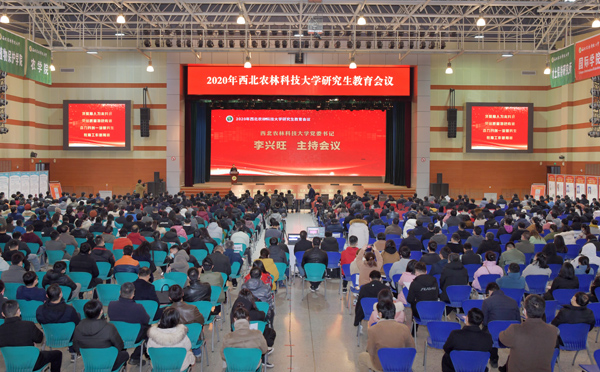 e91ddfa41483444c9c1689f1d98c15b8.jpg 517ee52566474563bfbaf621bc29e524.jpg