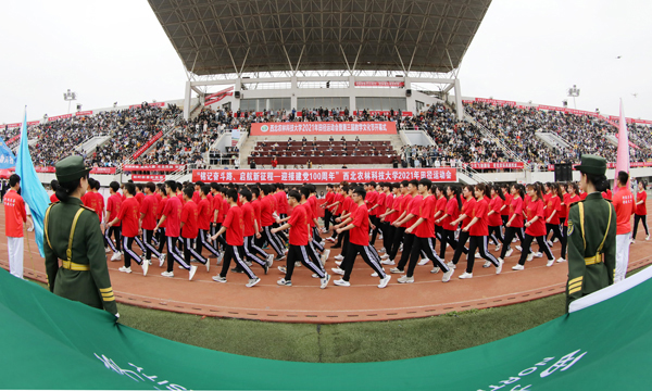 2d5a64d6875b4d839f54ba6acfa9b72b.jpg 2.jpg