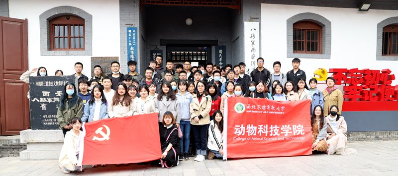 bf91e8b0853148b4812dd22bf5962bc8.jpg IMG_6179.JPG