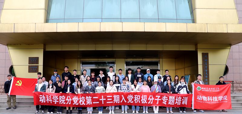 7f8a449df95146ebb6061c65779da2b6.jpg IMG_6313.JPG