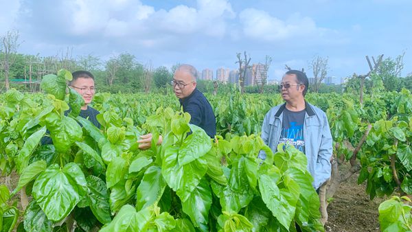 7db59f5622a24158875ea1aed8c92977.jpg 4_副本.jpg