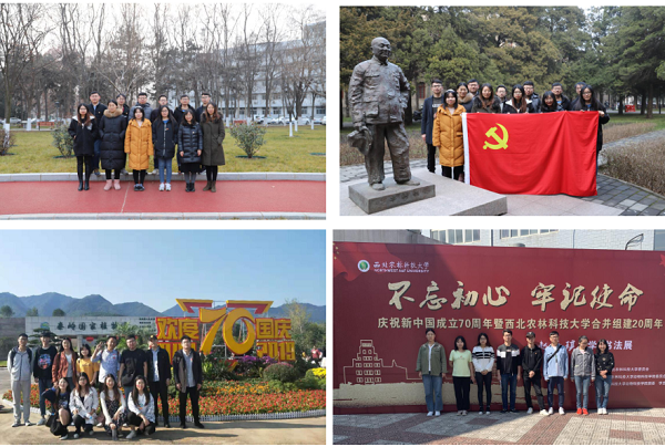 b9b35904ce714660a922fa01897c0cb0.png 图片1.png