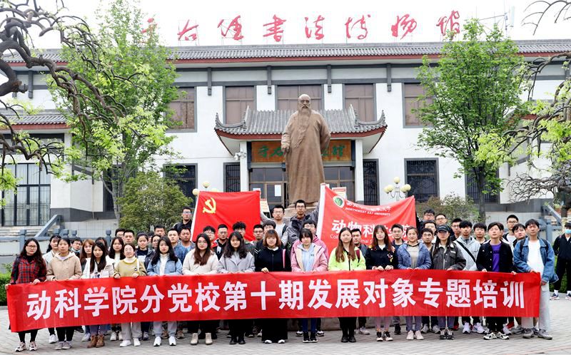 6b9e07b72da444acaecac28d572e3ebd.jpg IMG_6255.JPG