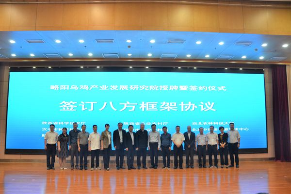 436738e5743b44a5aa4beb1b481a41d2.jpg 06c1b80a2701cfc3216970d12c75bf3.jpg