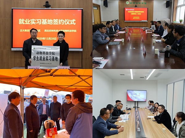 5efb3e74f3444401a2aa0dc98059fab3.jpg 2.jpg