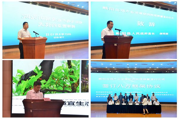 e38f716039a644d78ccc7dfabc45ca3b.jpg NeoImage_副本.jpg