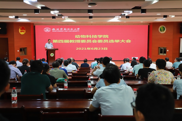 9c90a6f25ce6412cb0c555f2576726c9.jpg IMG_9492.JPG