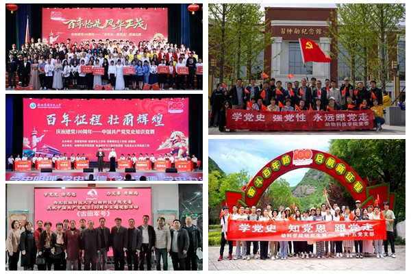 bbc73d272e12444192e86fd6dad13a96.jpg NeoImage_副本.jpg