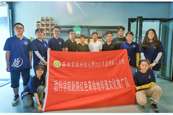 6761159fb608414781d151528e756144.png 图片3.png