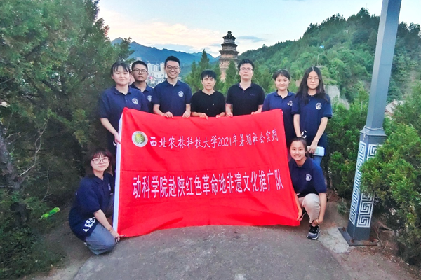 bb65b0bb11a74647bcc96daba452992b.png 图片5.png