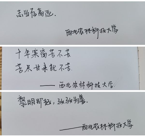 32ad5bcab41748aeb32f5d9f63e750ee.jpg 字眼_副本.jpg