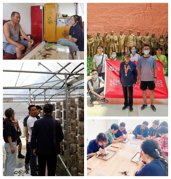 9fc64ddcc3344da986a67a0ba56ca714.jpg NeoImage_副本_副本2.jpg