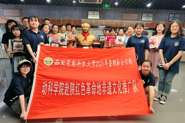 9a3eecadc084421a927a4c85e04b9800.png 图片6.png