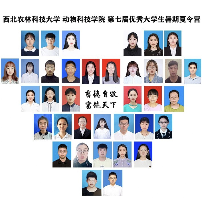 bacf18b0f468489183fc46b511b628ee.jpg 合影留念.jpg