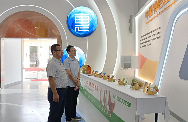 e087f50f13304d7191837f826f62149e.jpg 33.jpg