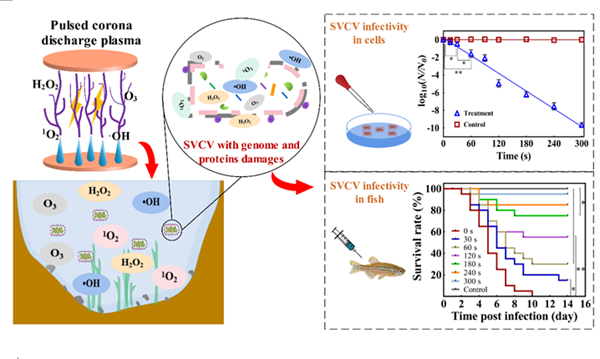 8342be58b907403992480b694f595791.png QQ图片20210913153126_副本.png