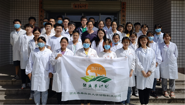 44e6b70554804edf96c4758d52696c38.png 图片1.png